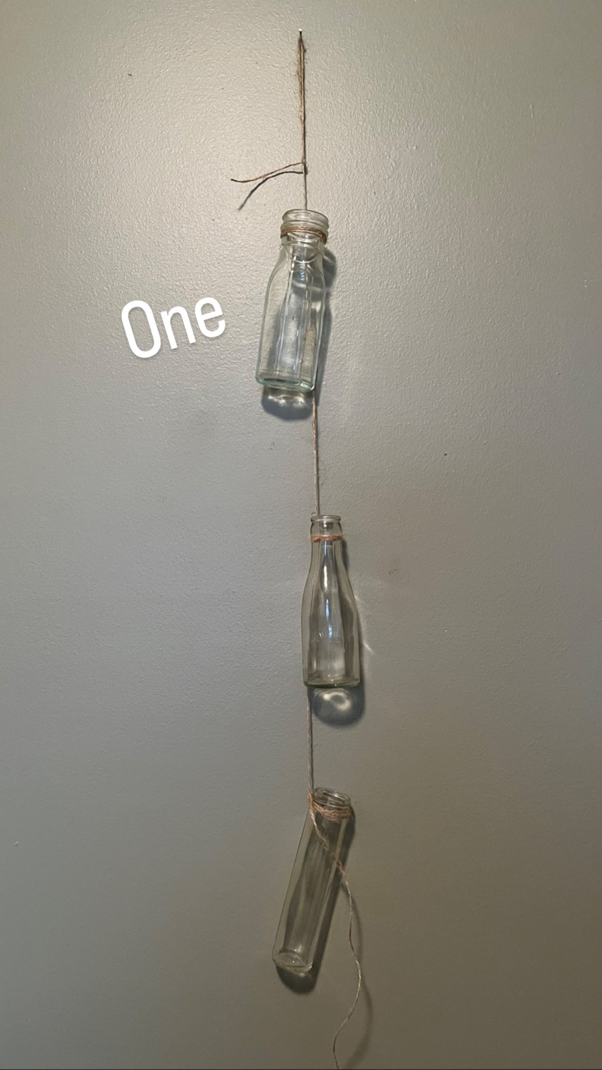 Vintage Hanging Propagation Bottles