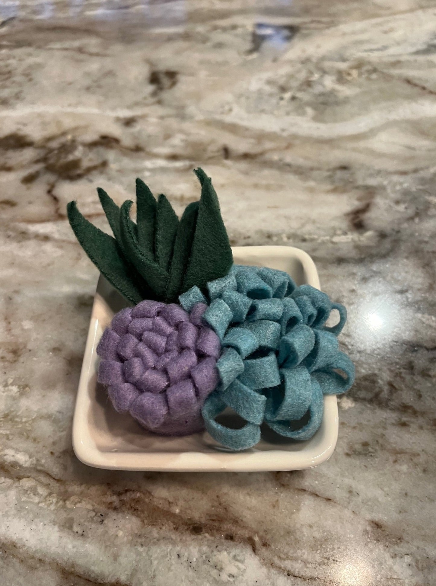 Succulent Dish