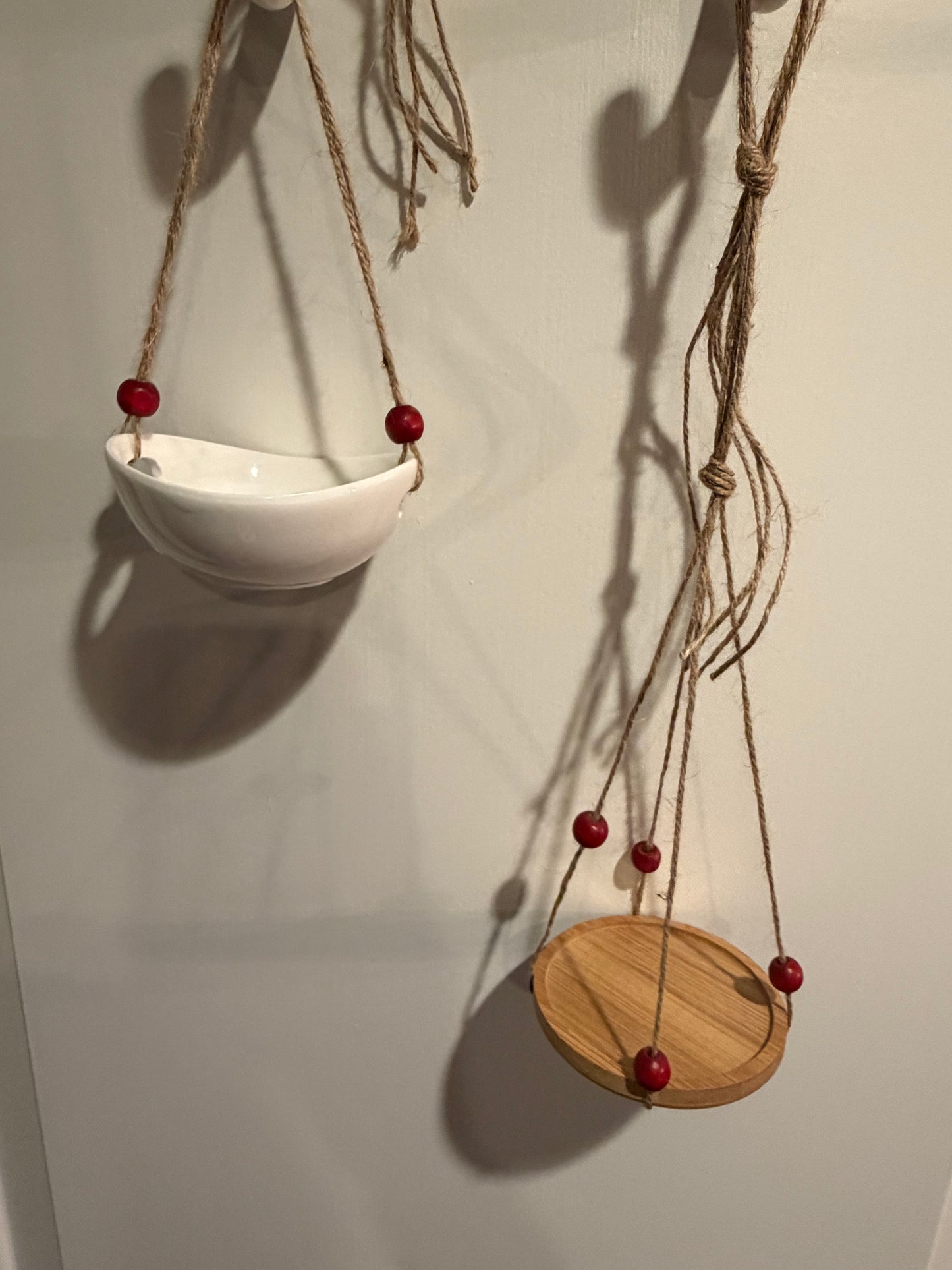 Air plant hanger on jute