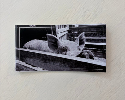 Sticker-Jake O'Neil Photography