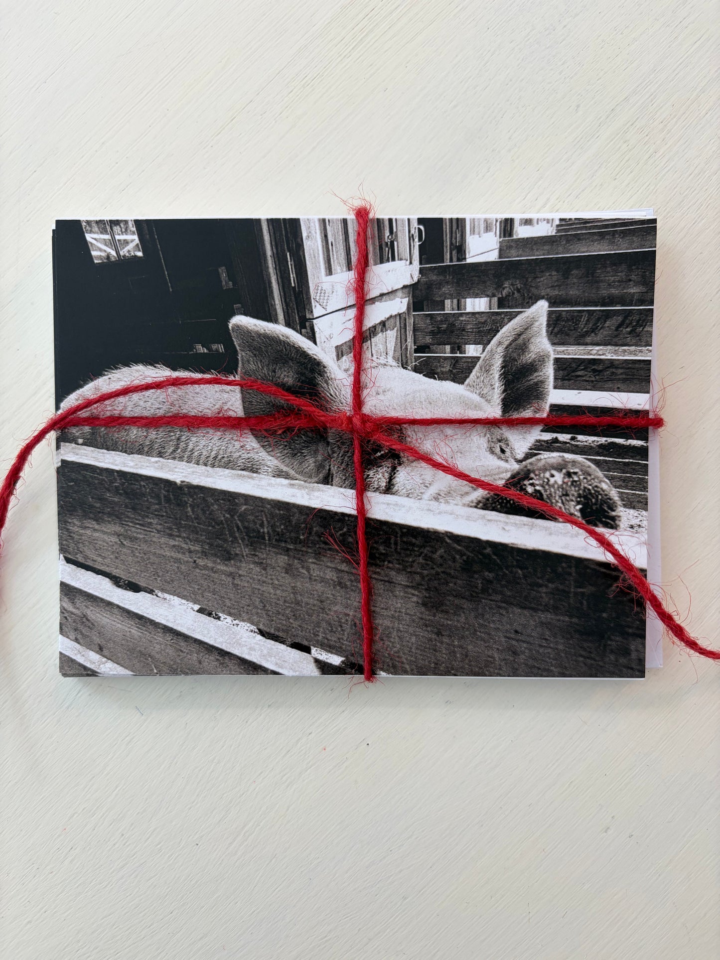 Note cards-Jake O'Neil Photography