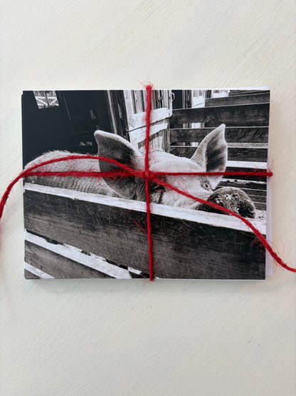 Note cards-Jake O'Neil Photography
