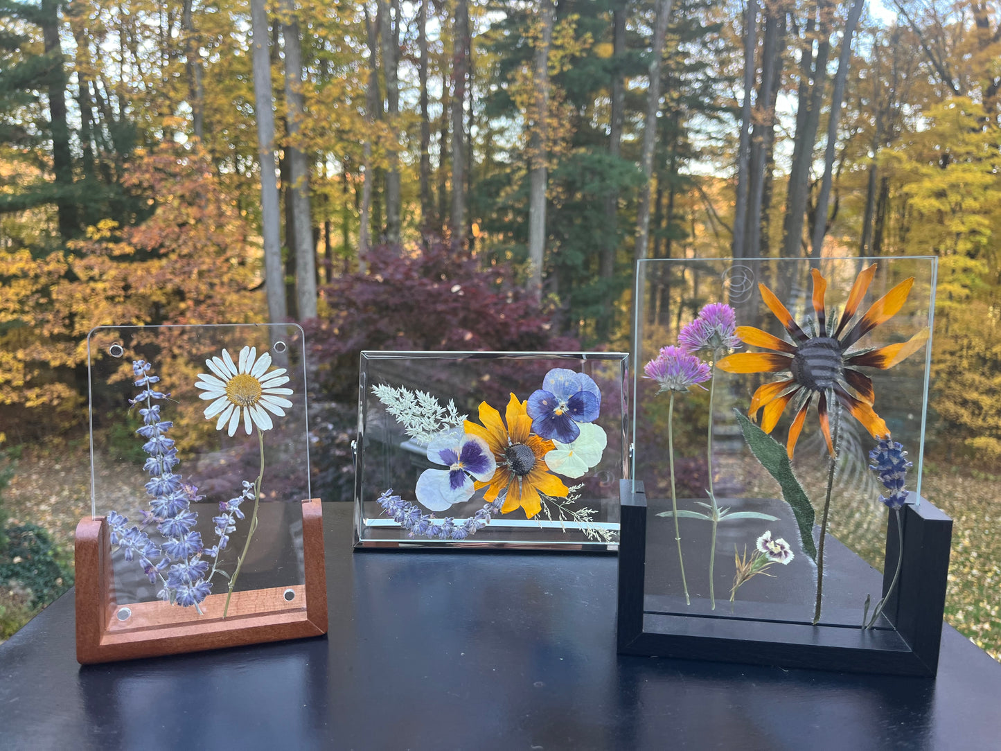 Pressed flowers-framed