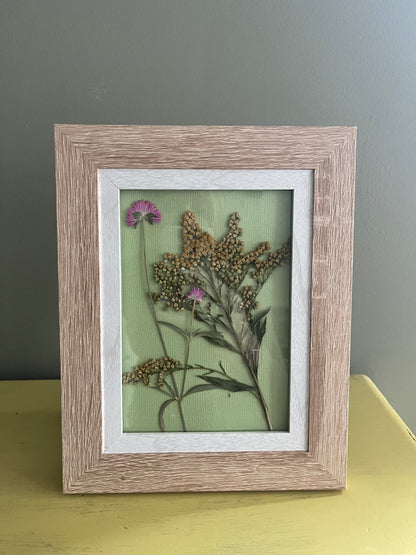 Pressed flowers-framed