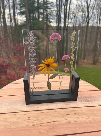 Pressed flowers-framed