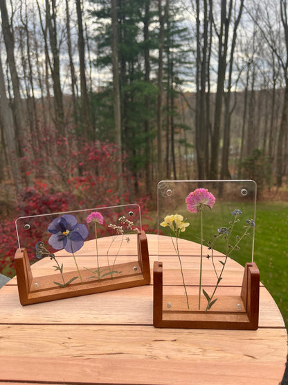 Pressed flowers-framed