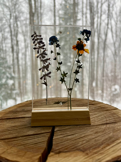 Pressed flowers-framed