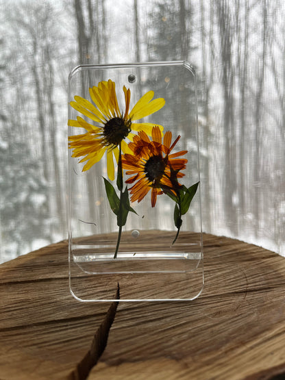 Pressed flowers-framed