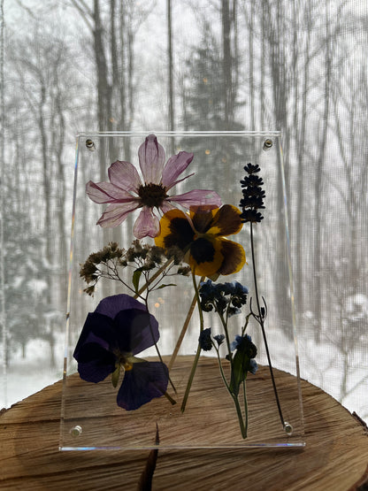 Pressed flowers-framed