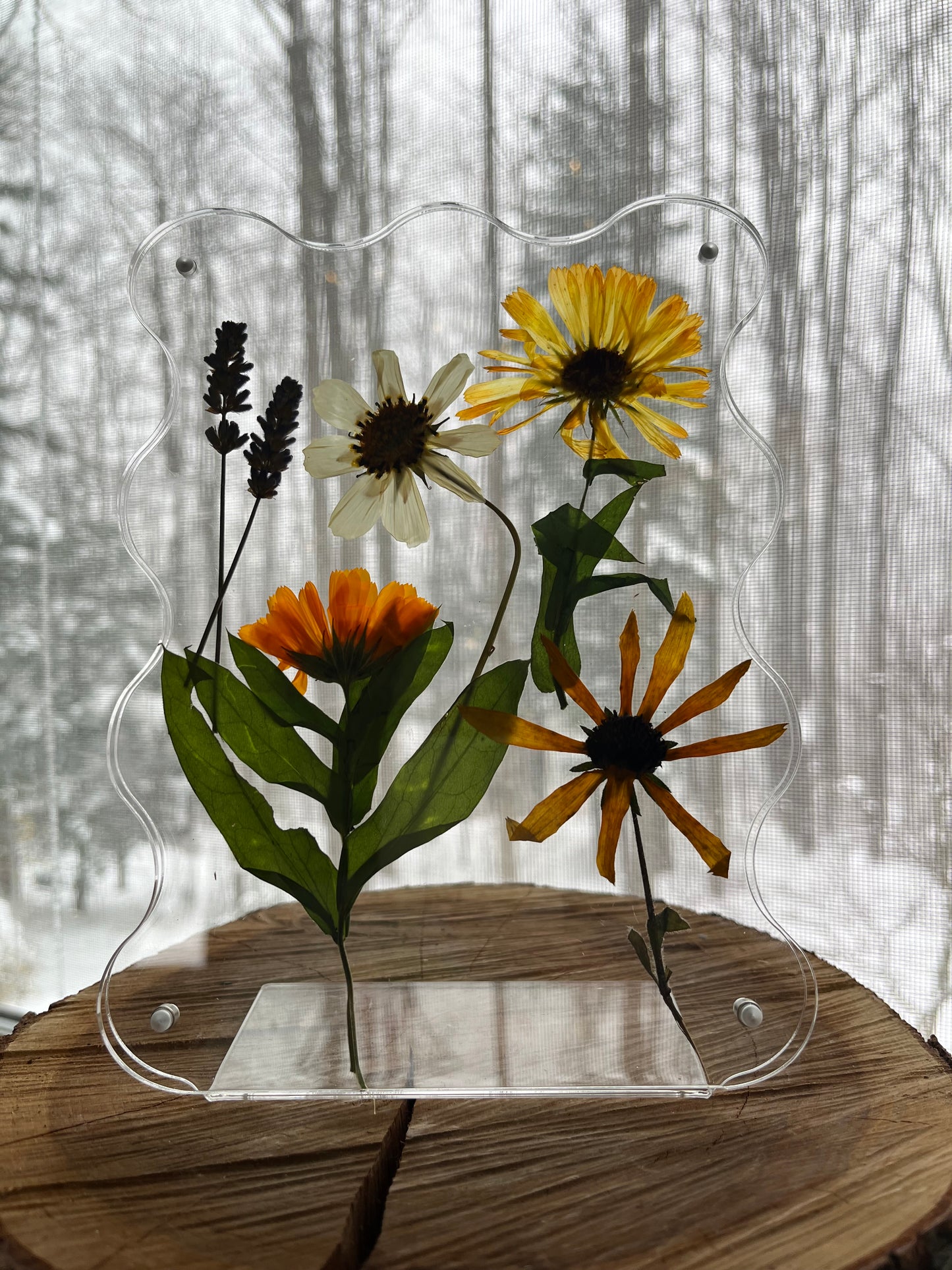 Pressed flowers-framed