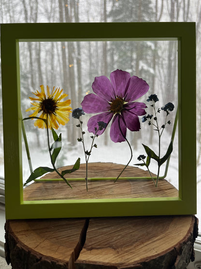 Pressed flowers-framed