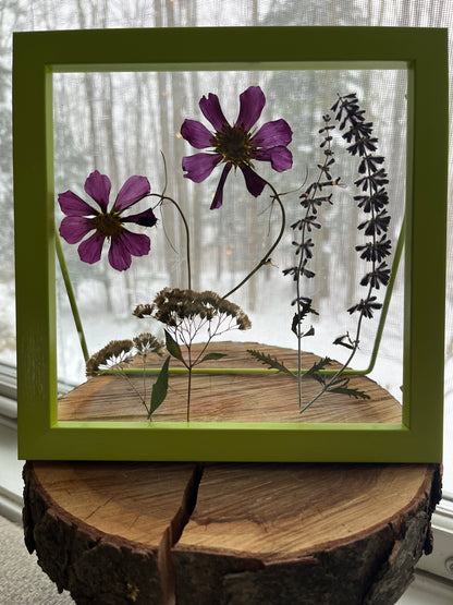 Pressed flowers-framed